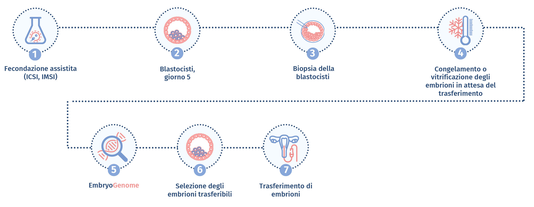 come si esegue embryogenome